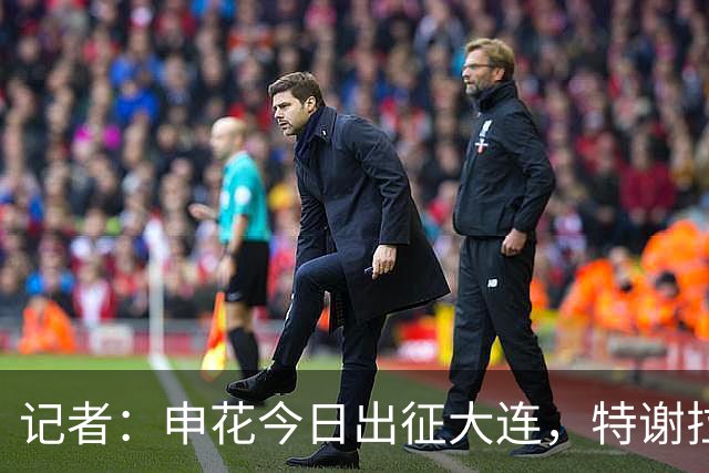 记者：申花今日出征大连，特谢拉、米内罗、李可因伤无法出战